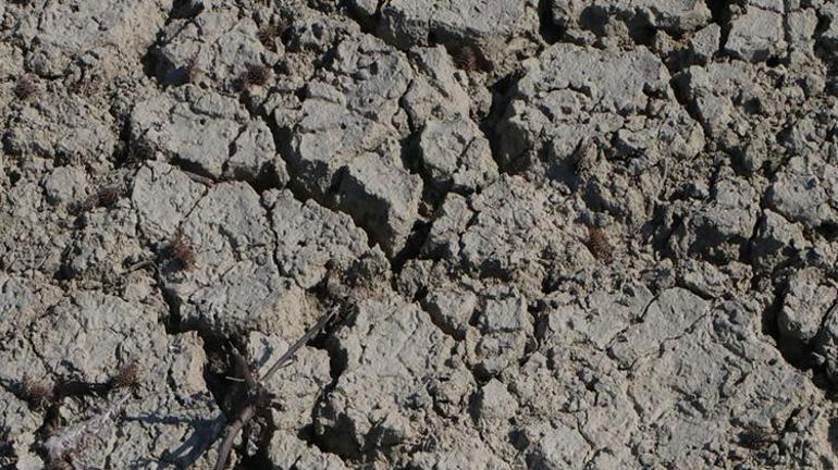 Adananın can damarı kuruyor: Çukurovada kuraklık tehdidine karşı yağmur hasadı çağrısı