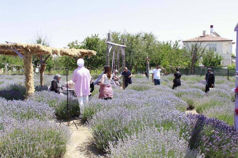 Burada lavanta yetişmez dediler o dinlemedi Hem turizme katkı sağladı hem de para kazandı