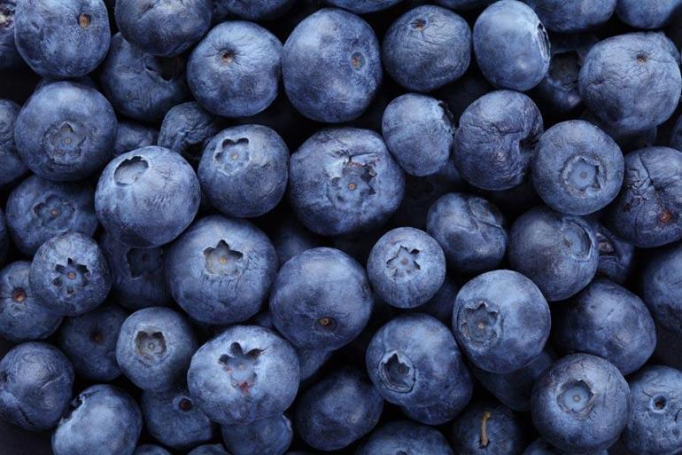 İzmirde 3 yıl önce dikilen blueberry meyvesinin ilk hasadı yapıldı: 40-50 yıl ömrü var