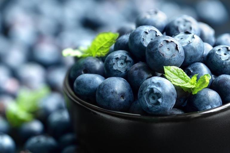 İzmirde 3 yıl önce dikilen blueberry meyvesinin ilk hasadı yapıldı: 40-50 yıl ömrü var