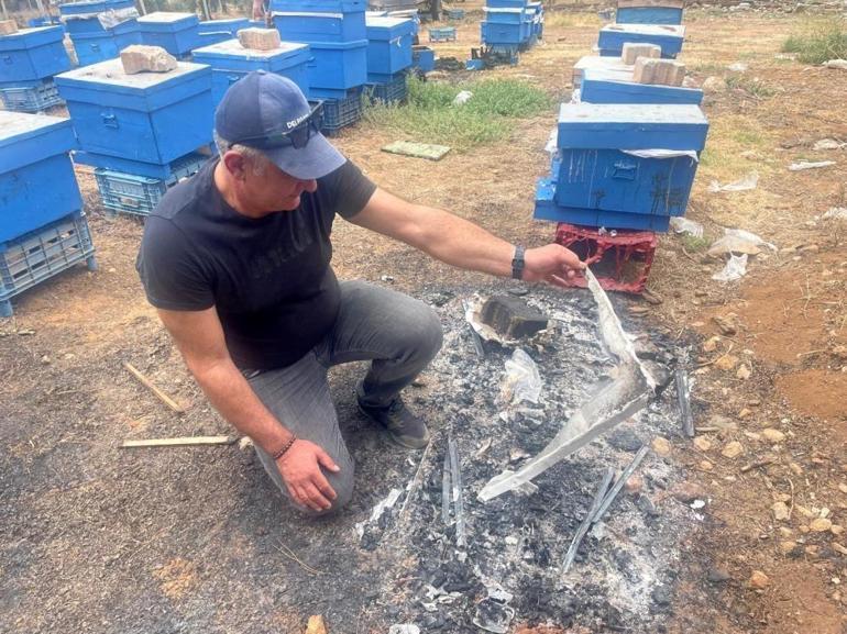 Bursada milyonlarca arı ateşe uçtu bir daha dönmedi