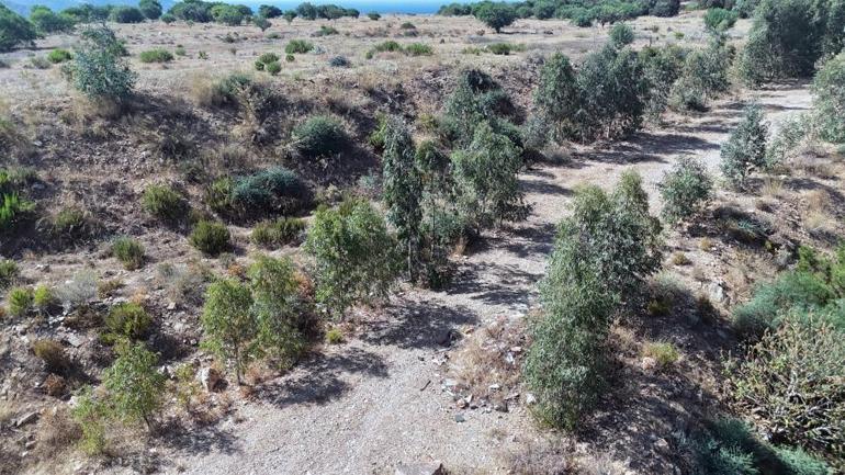 Muğlada iki mahalle yeşillendi: Binlerce metrekareye rehabilite edildi