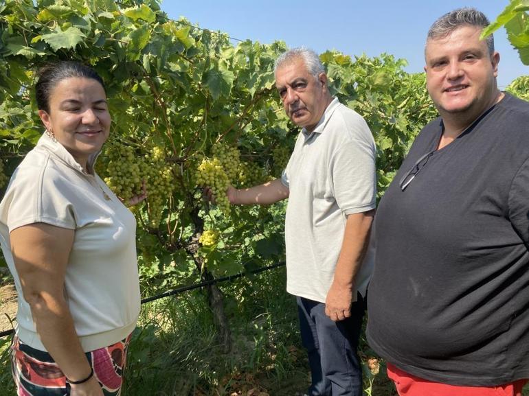 40ından sonra üniversiteyi birincilikle bitirdi, şimdi eşiyle imkansızı başarıyor: Kimyasal kullanmadan 40 ton ürün elde etti