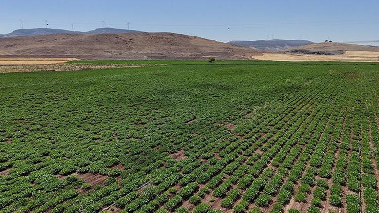 Gaziantep’te tarımda yeni dönem İlk olarak Nurdağı ve İslahiye ilçelerinde başladı