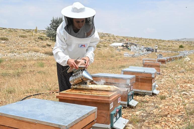 Atanamayan mezunun hayali gerçek oldu: Mersinde başladı, hedef dünya pazarı