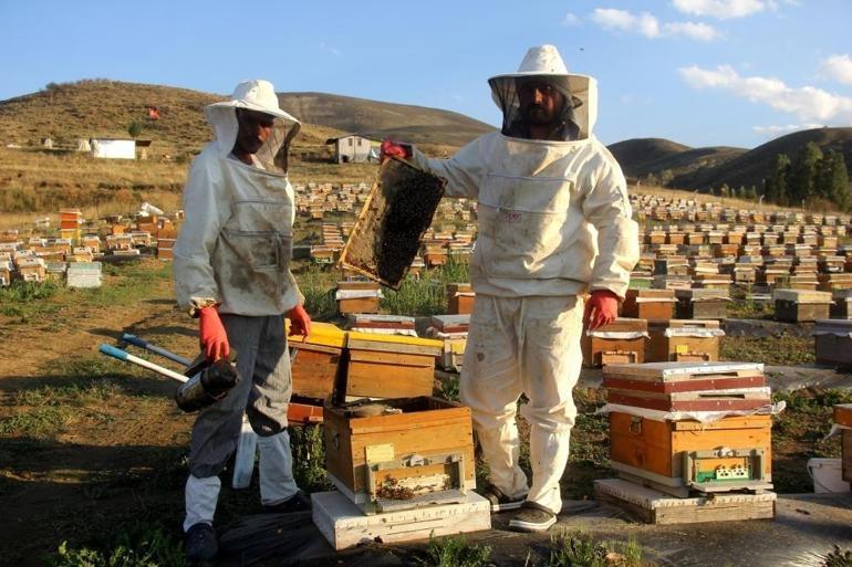 Bayburtta hasat başladı: Üretim artı eksi yüzde yüz düştü