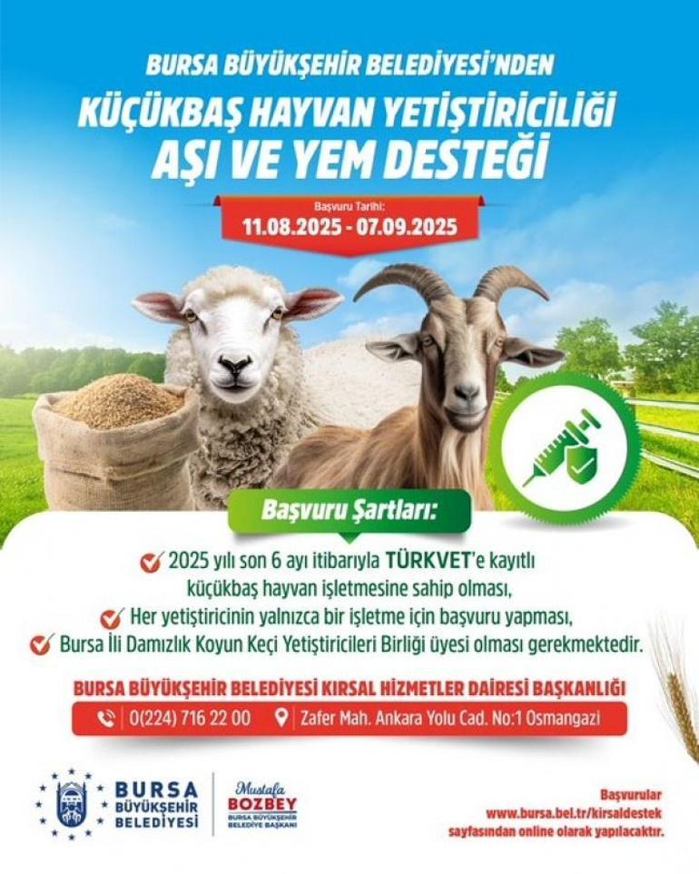 Bursada başvurular başladı: Üretici için haber geldi Son gün 7 Eylül