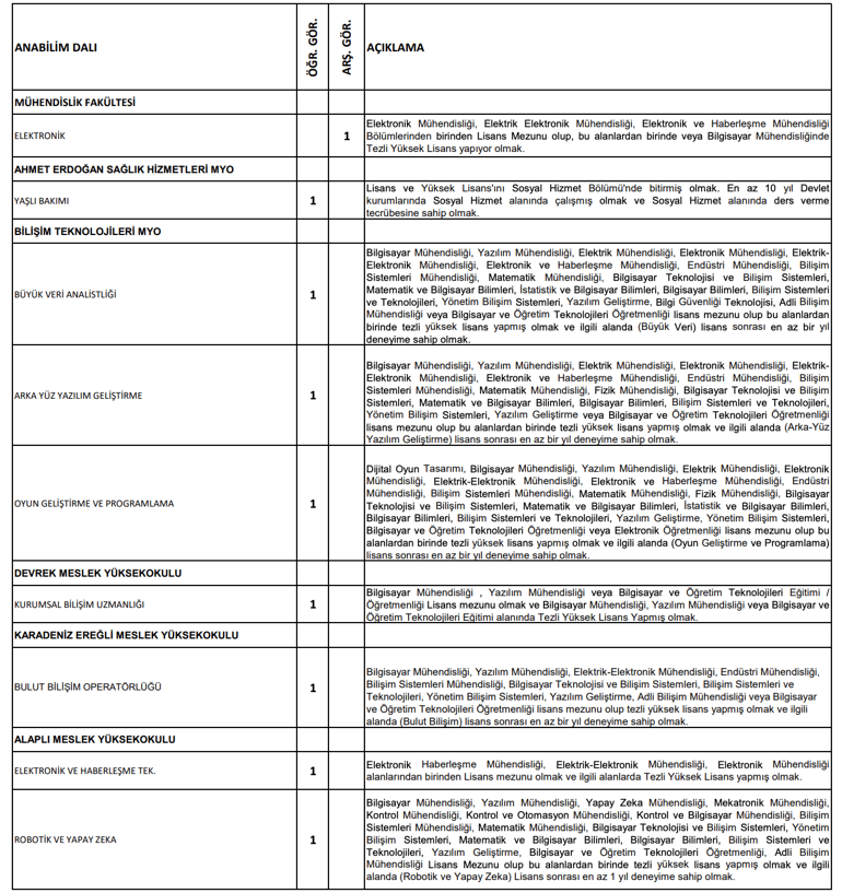 Zonguldak Bülent Ecevit Üniversitesi personel alımı: 9 öğretim görevlisi alınacak