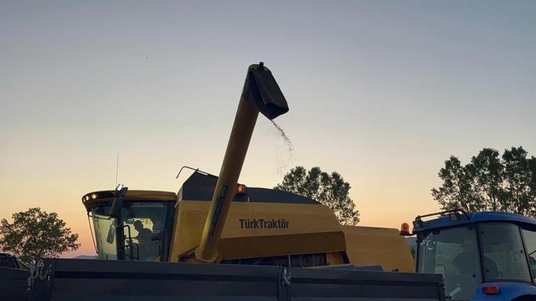 Kastamonuda hasat başladı: 6 yıl önce ilk kez dikildi, şimdi üretim deposu oldu