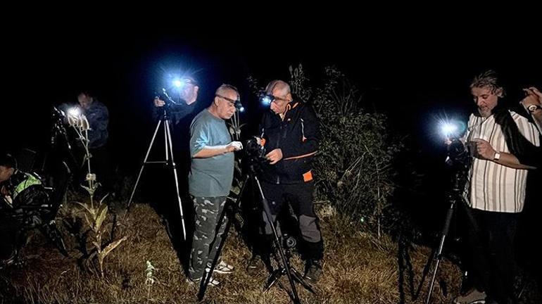 Fotoğraf tutkunları Boluya akın etti Perseid mesaisi başladı