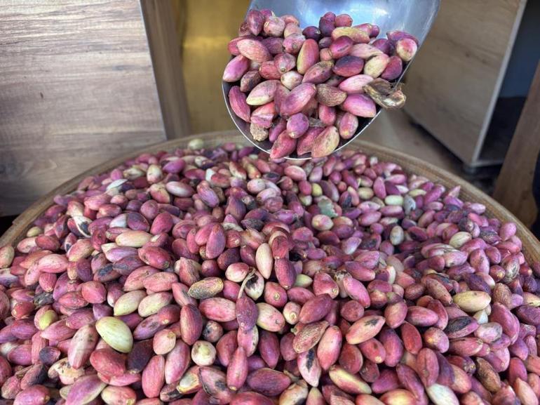 Antep fıstığı tezgaha indi: Yeni mahsulün kilosu 500 TL oldu