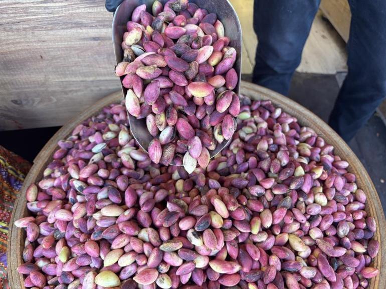 Antep fıstığı tezgaha indi: Yeni mahsulün kilosu 500 TL oldu