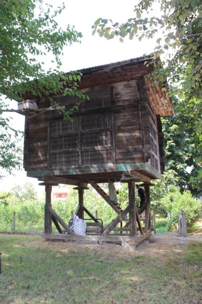 Samsunda 150 yıldır ayakta: Görenler ona Serendi diyor