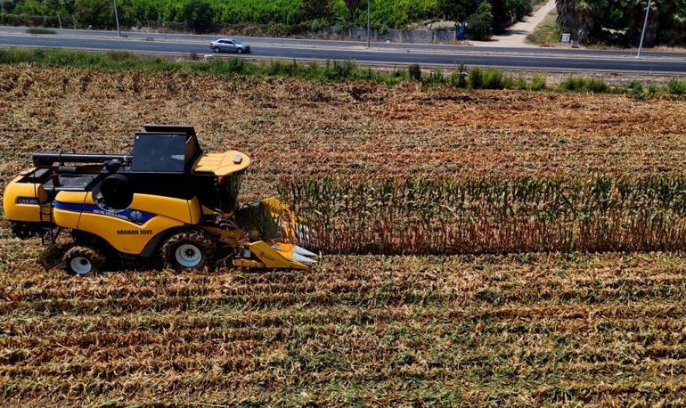 Türkiyenin üretim üssünde hasat başladı Rekolte yüksek bekleniyor, çiftçiler kazanacağı tutarı açıkladı