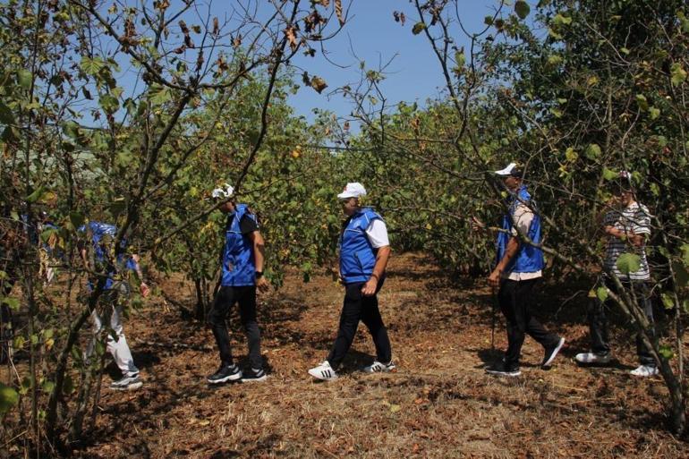 Zonguldakta fındık tarlası gönüllülerin spor sahası oldu