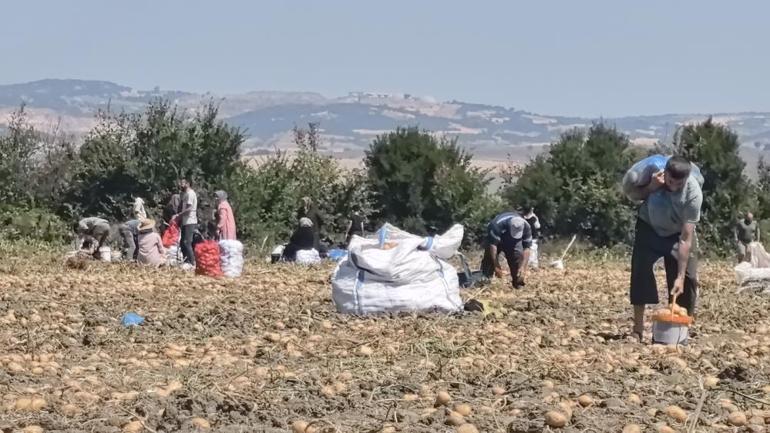 Bursalı çiftçi tarlasındaki patatesleri vatandaşlara ücretsiz dağıttı