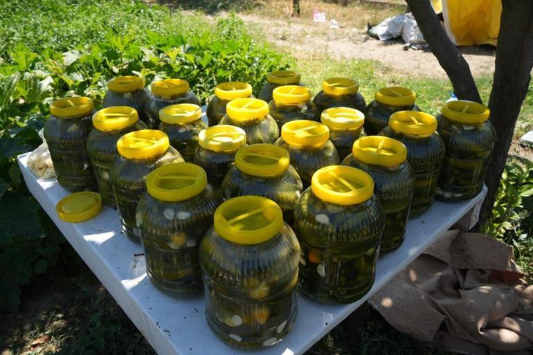 Toplamak için çok kısa süreleri var Tarlada 5-10 liradan, marketlerde 30-40 liradan satılıyor