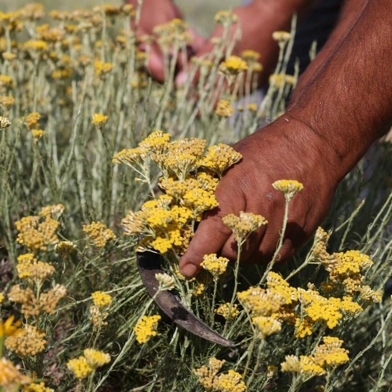 Eskişehirde paketi 30 TL: Hacmi küçük talep büyük
