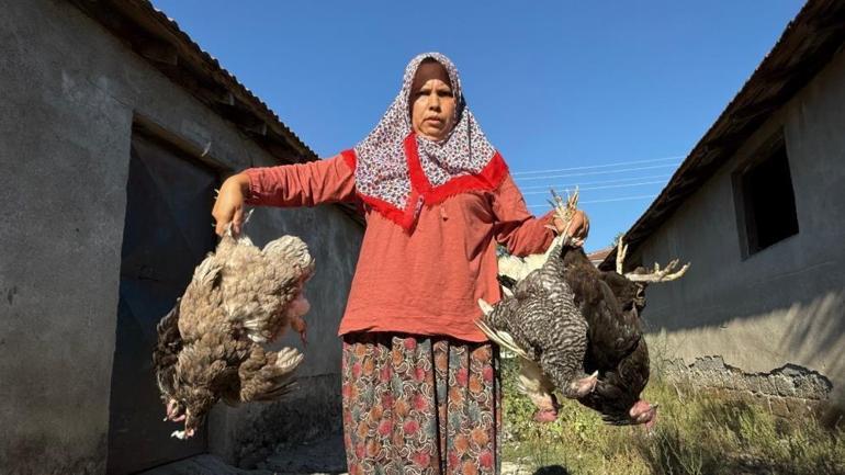 22 yıl yaptı, sabah namazından sonra kümese bakınca inanamadı