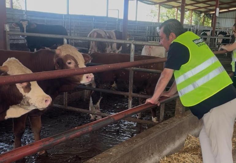 Bursada harekete geçildi 17 ilçede tamamen ücretsiz yapılıyor