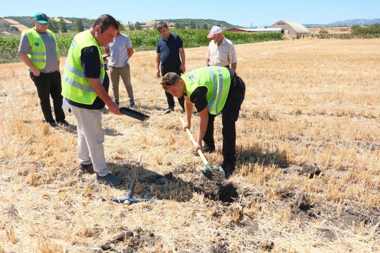 Bursada harekete geçildi 17 ilçede tamamen ücretsiz yapılıyor
