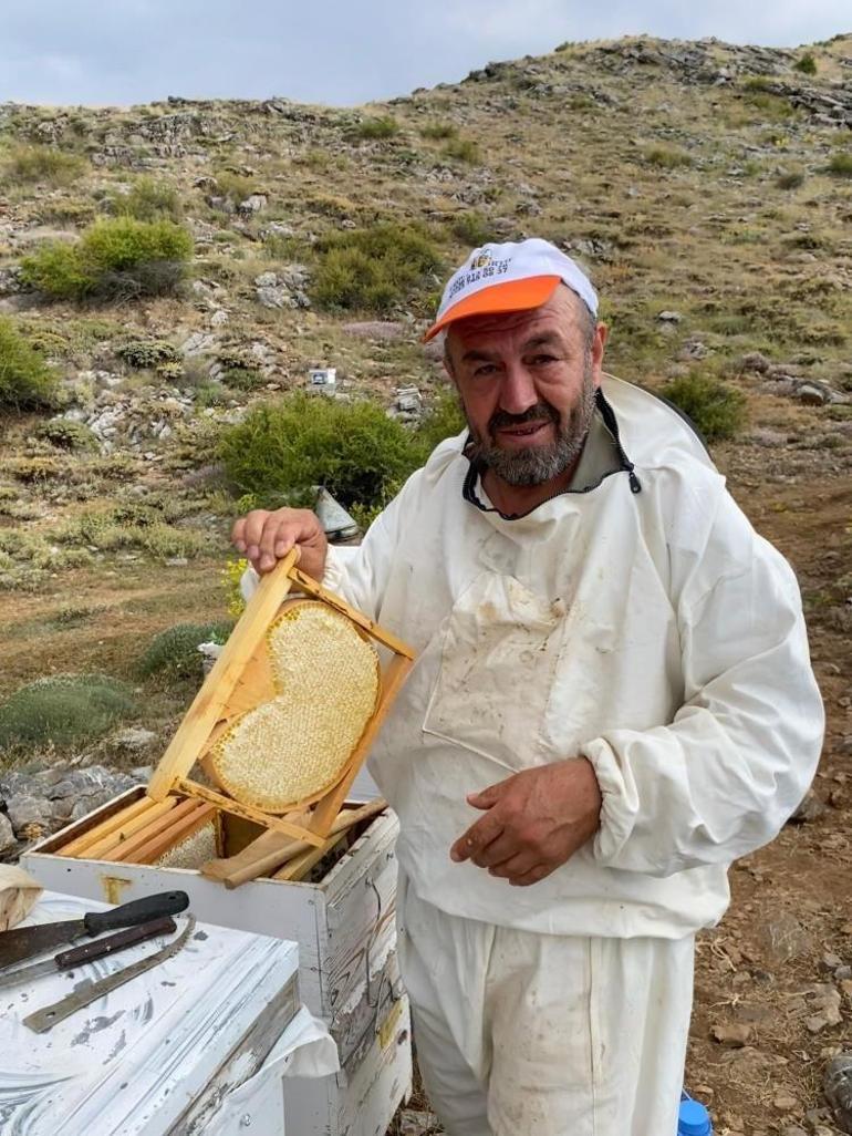 Konyada bal hasadı başladı 1900 rakımda yüzler güldü