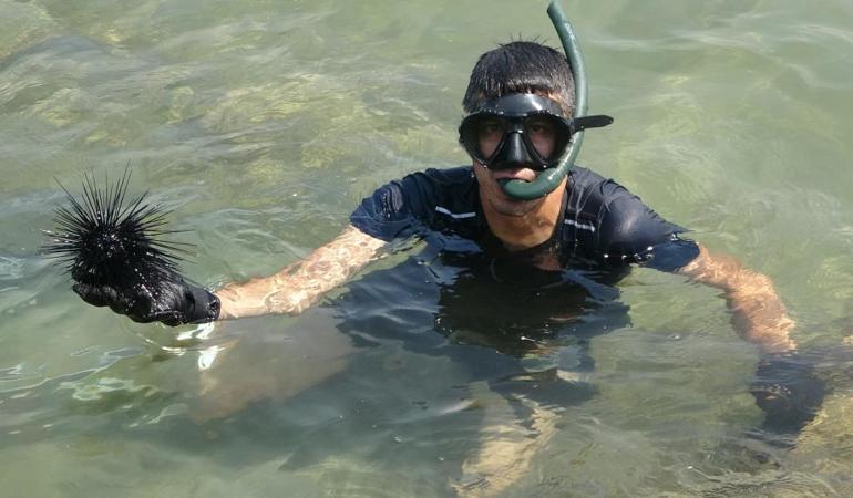 Bunu gören herkes ne olduğu merak ediyor Zehirli ve her gördüğünü yok ediyor