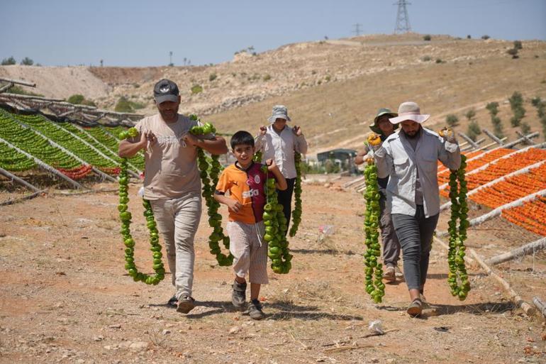 Gastronominin başkenti kırmızı ve yeşile büründü, uzaktan görenler şaşırıyor Fiyatları 150 ile 200 TL arasında değişiyor