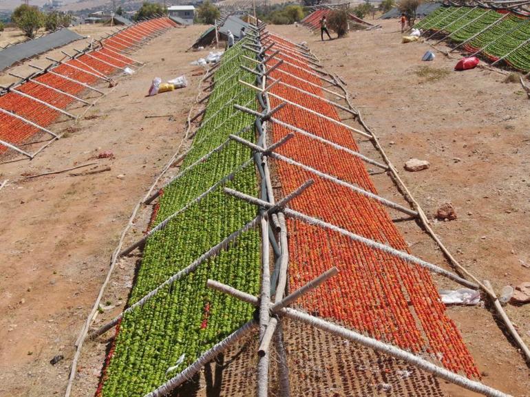 Gastronominin başkenti kırmızı ve yeşile büründü, uzaktan görenler şaşırıyor Fiyatları 150 ile 200 TL arasında değişiyor