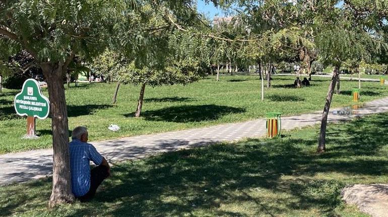 Şanlıurfa kavruluyor Termometreler 49 dereceyi gösterdi