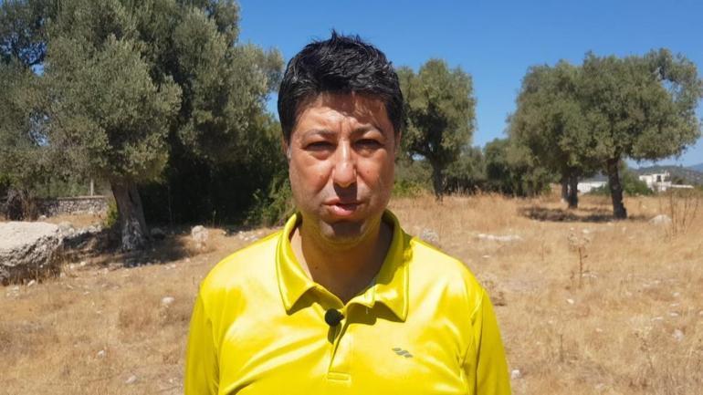Balıkesirde zeytinlikler kuraklık tehdidi altında