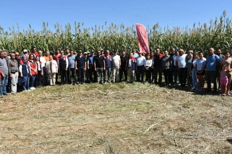 Aydında ilk hasat mahallede başladı Proje meyvelerini verdi