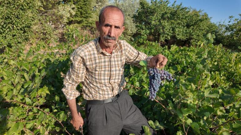 Bu meyvenin geçmişi Urartulara dayanıyor, adını duyan çok az Kilosu 50 ila 80 TL arasında satılıyor