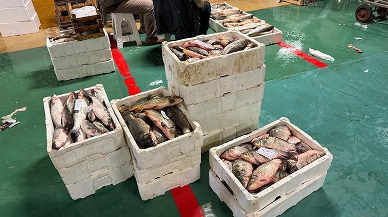 Yasak sona erdi İstanbul’da yeni sezon resmen başladı