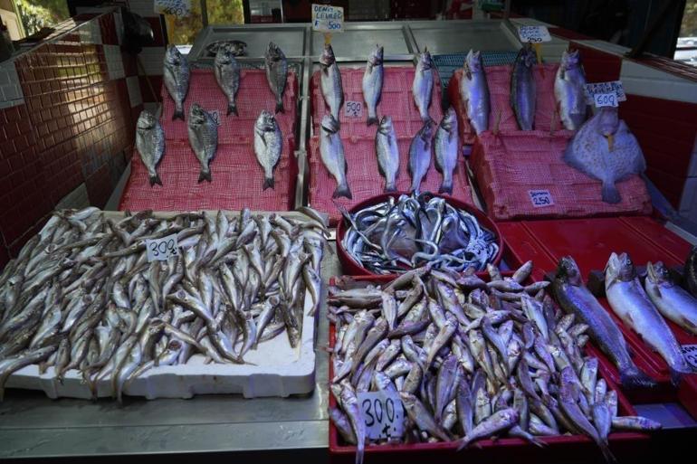 Samsunda yasak kalktı, ilk parti tezgahlarda yerini aldı