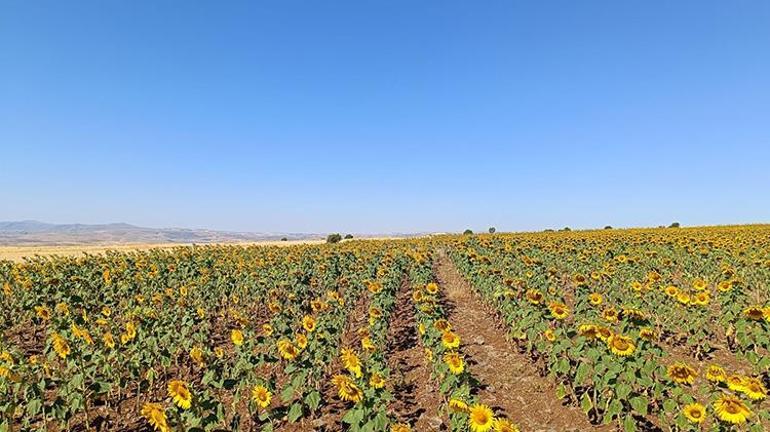 Çemişgezekde kimsenin cesaret edemediğini O denedi, ilçe tarihinde bir ilke imza attı