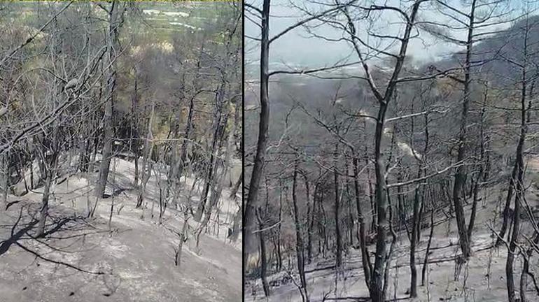 Denizlide yürekleri dağlayan görüntüler Dağlarının yeşil örtüsü siyaha büründü