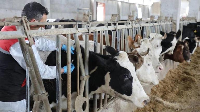 Eskişehir’de 4 Eylülde açılışı var Yeni karar alındı
