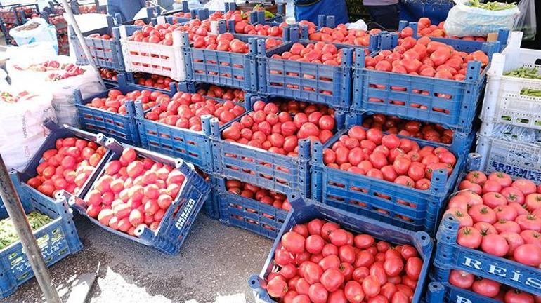 Kilosu 25 ila 30 TL arasında satılıyor, fiyatı daha da düşmeyecek Eylülde rağbet katlandı