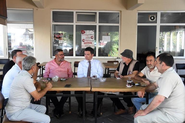 Bursa siyah incirinde hasat başladı