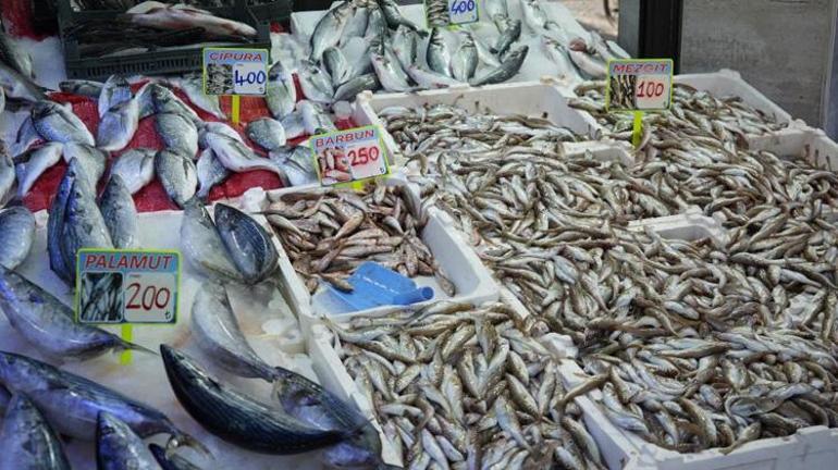 Karadenizde deniz soğumadı, hamsi gelmedi: Tezgahlarda fiyatlar uçtu