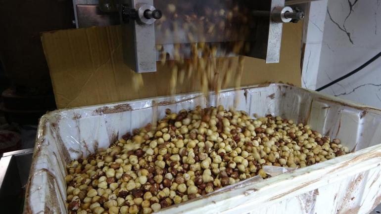 Karadenizde fındık hasadı tamamlandı Üretici kırma ve kavurma işini artık işletmelere bırakıyor