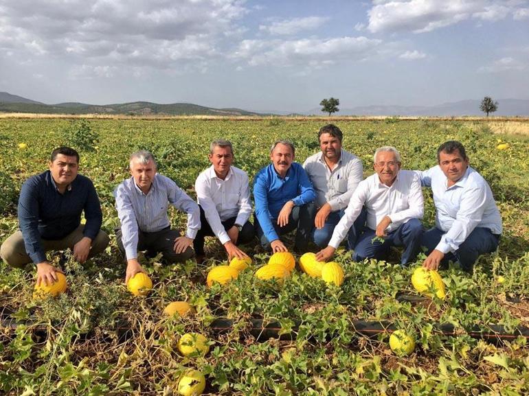 Denizli’nin asırlık miras Acıpayam kavunu tescillendi