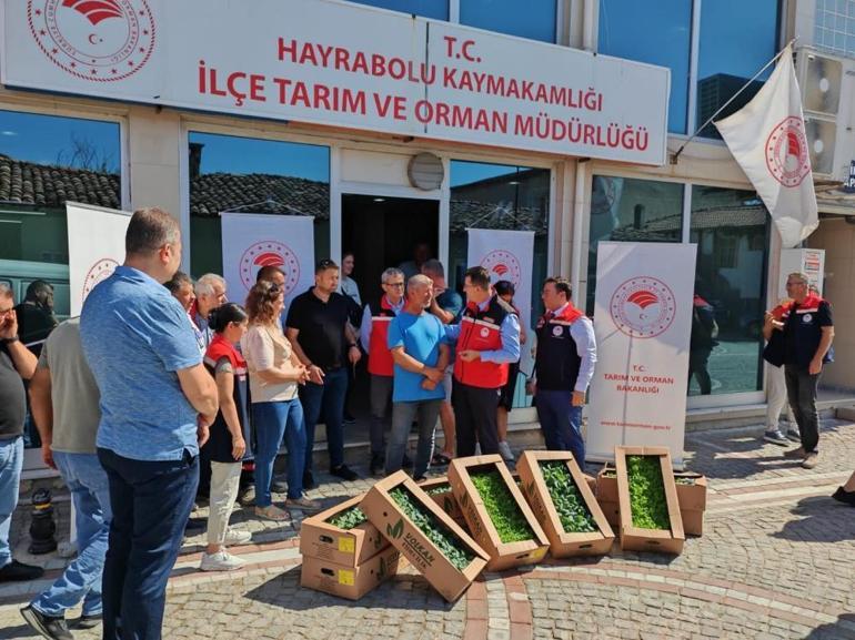Hayrabolulu çiftçilere 1 milyon TL’lik fide desteği
