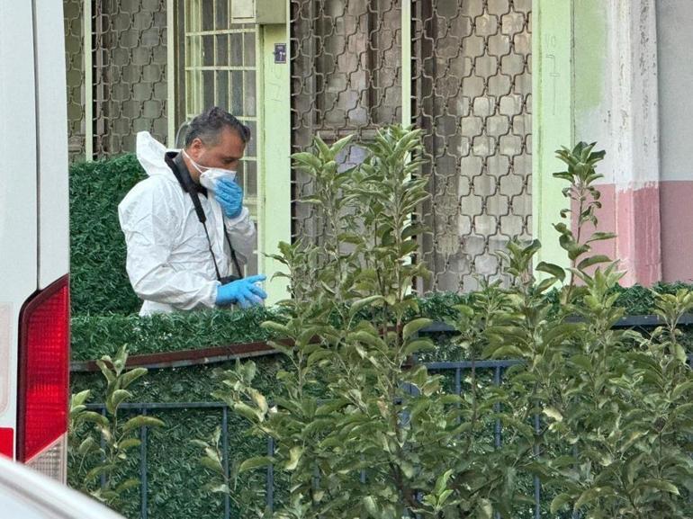 Önce annesini sonra üvey kardeşini öldürdü İfadesi şoke etti: İşte korkunç cinayetlerin nedeni