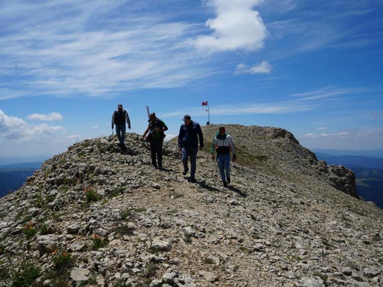 Ilgaz Dağında hayrete düşüren keşif 2 bin 587 rakımda deniz fosilleri bulundu