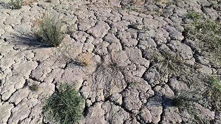 Tekirdağda endişe yaratan göründü Sular çekildi, derin çatlaklar oluştu