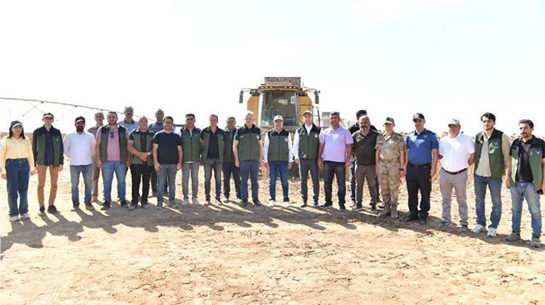 Türkiyenin en büyük tarım işletmesinde hasat başladı