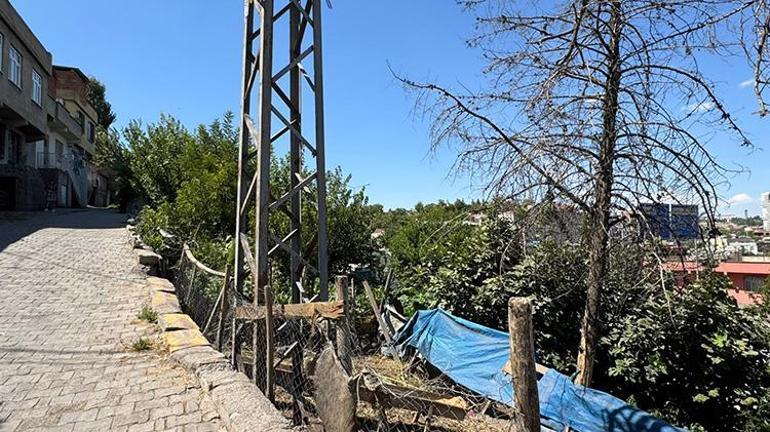 Diyarbakırda yürek dağlayan olay: Genç kadın evinin bahçesinde elektrik akımına kapıldı