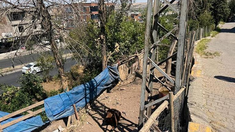 Diyarbakırda yürek dağlayan olay: Genç kadın evinin bahçesinde elektrik akımına kapıldı